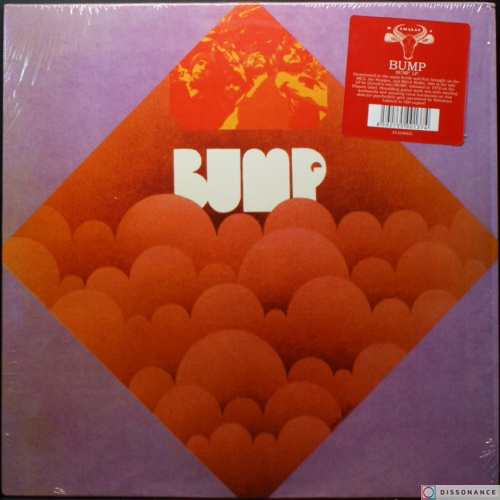 Виниловая пластинка Bump - Bump (1970)