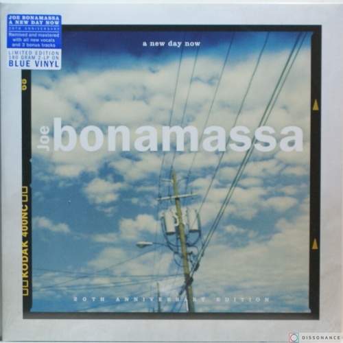 Виниловая пластинка Joe Bonamassa - A New Day Now (2000)