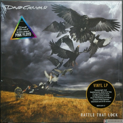 Виниловая пластинка David Gilmour - Rattle That Lock (2015)