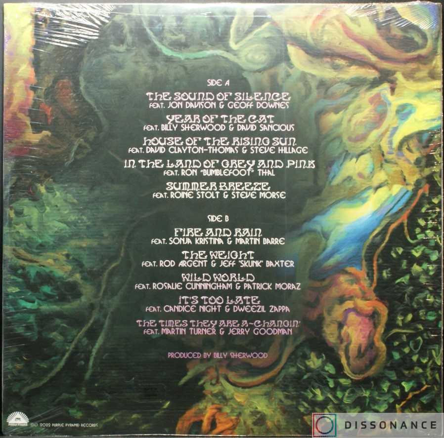 Виниловая пластинка Prog Collective - Songs We Were Taught (2022) - фото 1