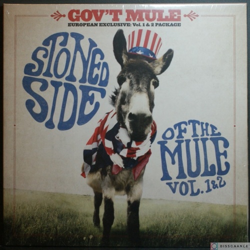 Виниловая пластинка Govt Mule - Stoned Side Of The Mule (2009)