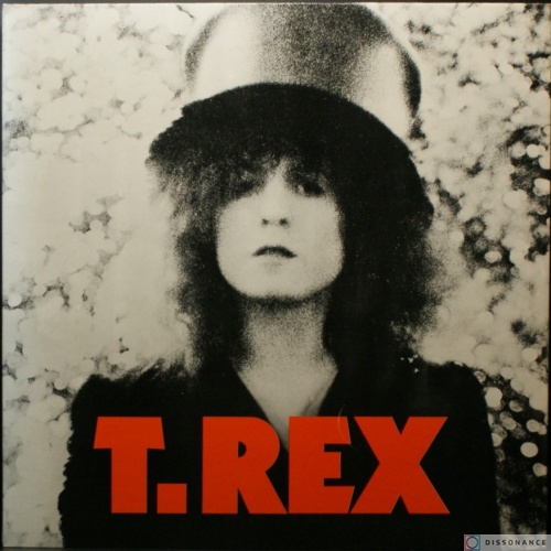 Виниловая пластинка T Rex - Slider (1972)