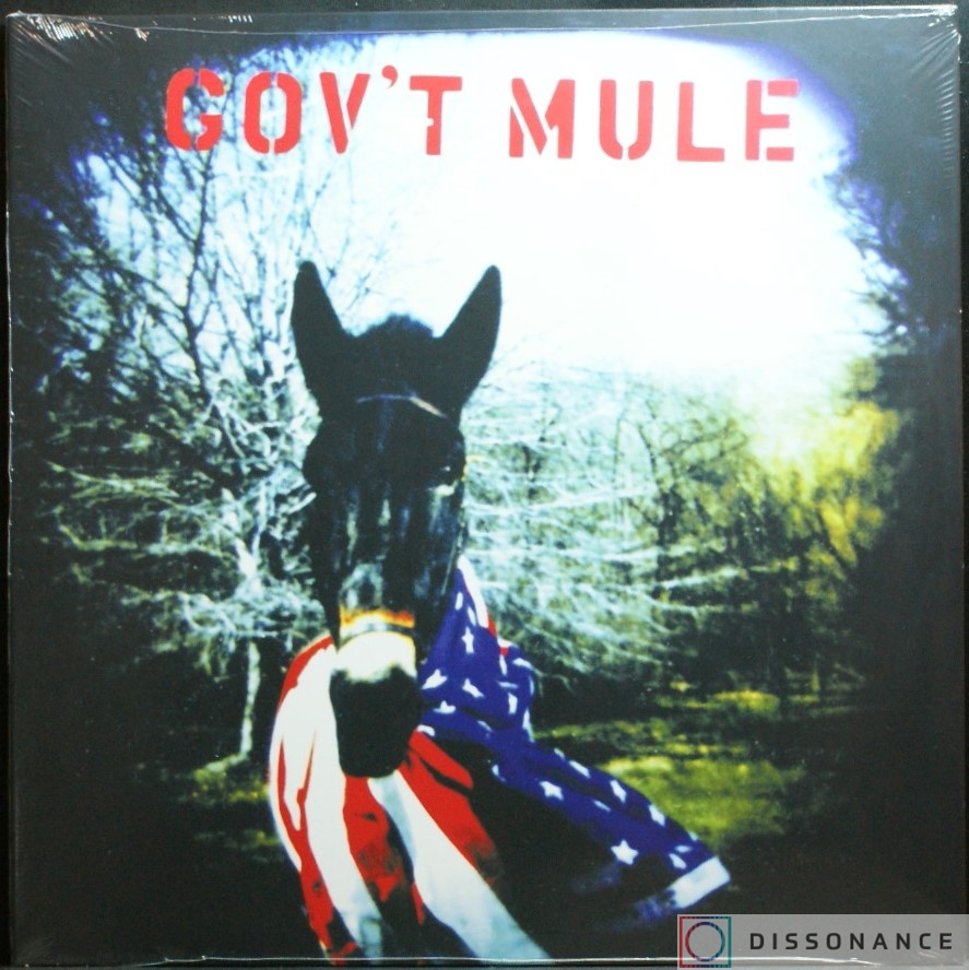 Виниловая пластинка Govt Mule - Govt Mule (1995) - фото обложки