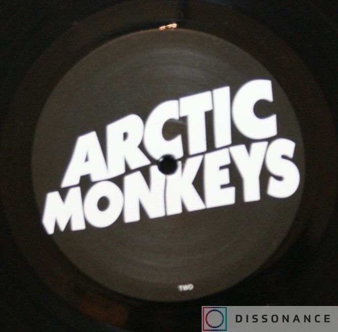 Виниловая пластинка Arctic Monkeys - Suck It And See (2011) - фото 2