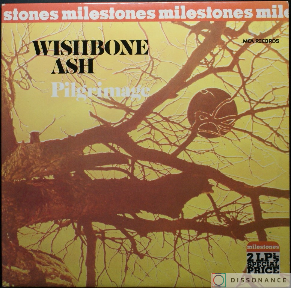 Виниловая пластинка Wishbone Ash - Pilgrimage And Argus (1977) - фото обложки