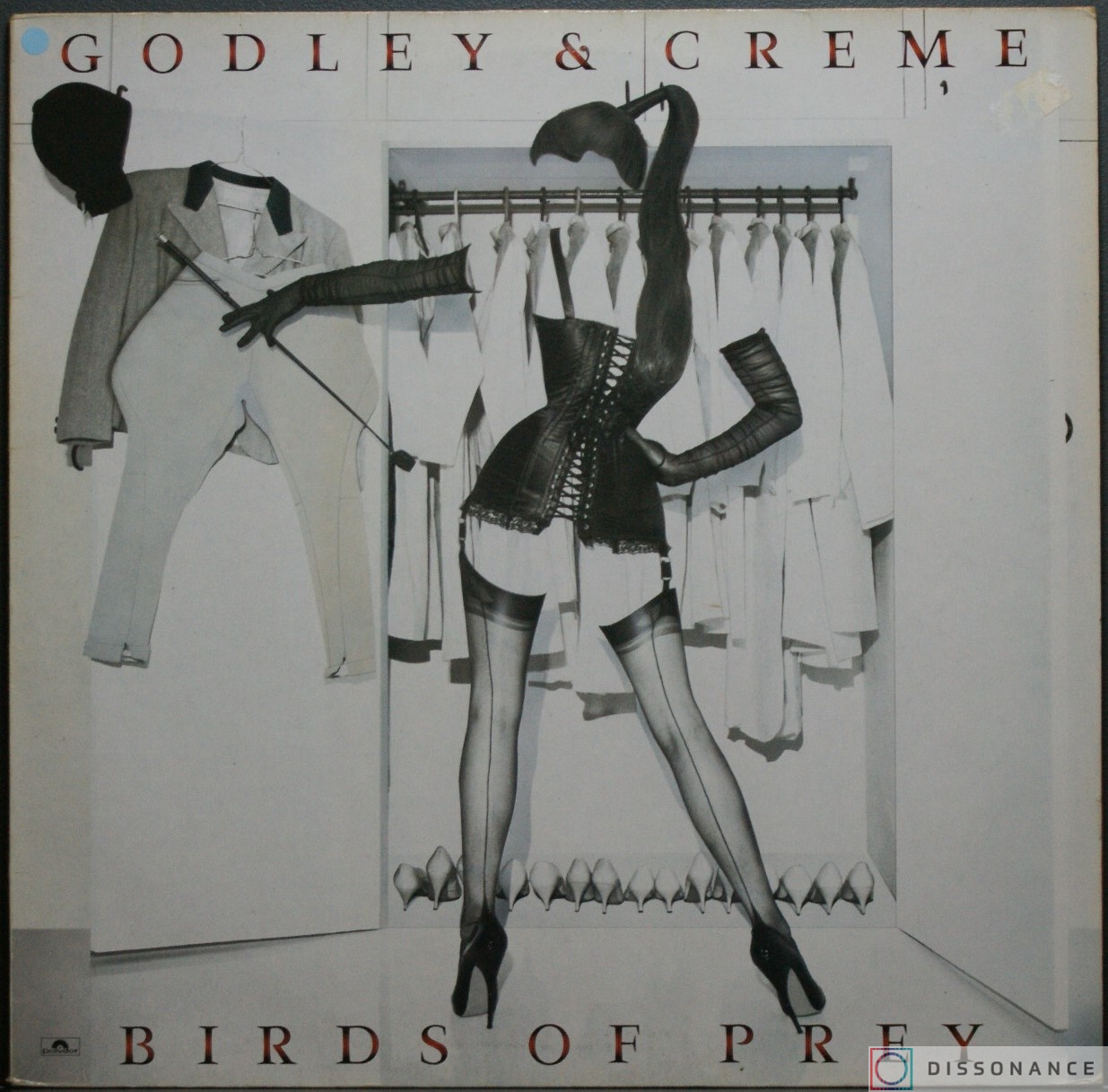 Виниловая пластинка Godley and Creme - Birds Of Prey (1983) - фото обложки
