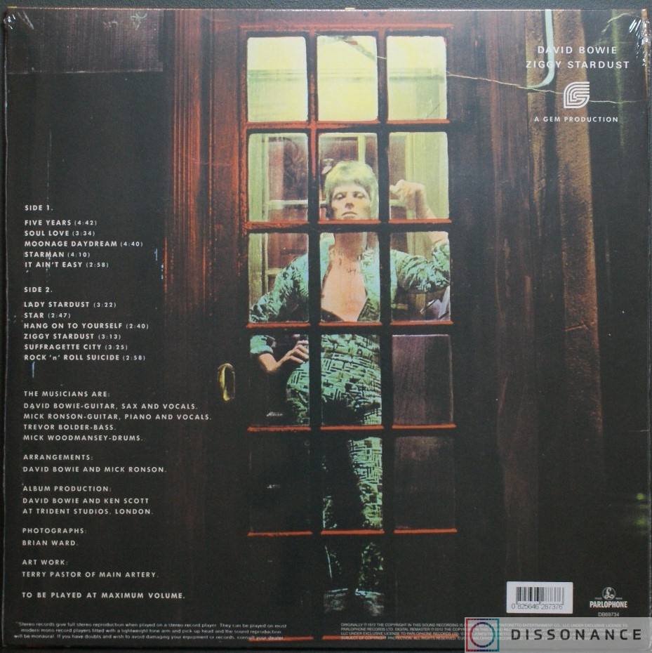 Виниловая пластинка David Bowie - Rise And Fall Of Ziggy Stardust (1972) - фото 1