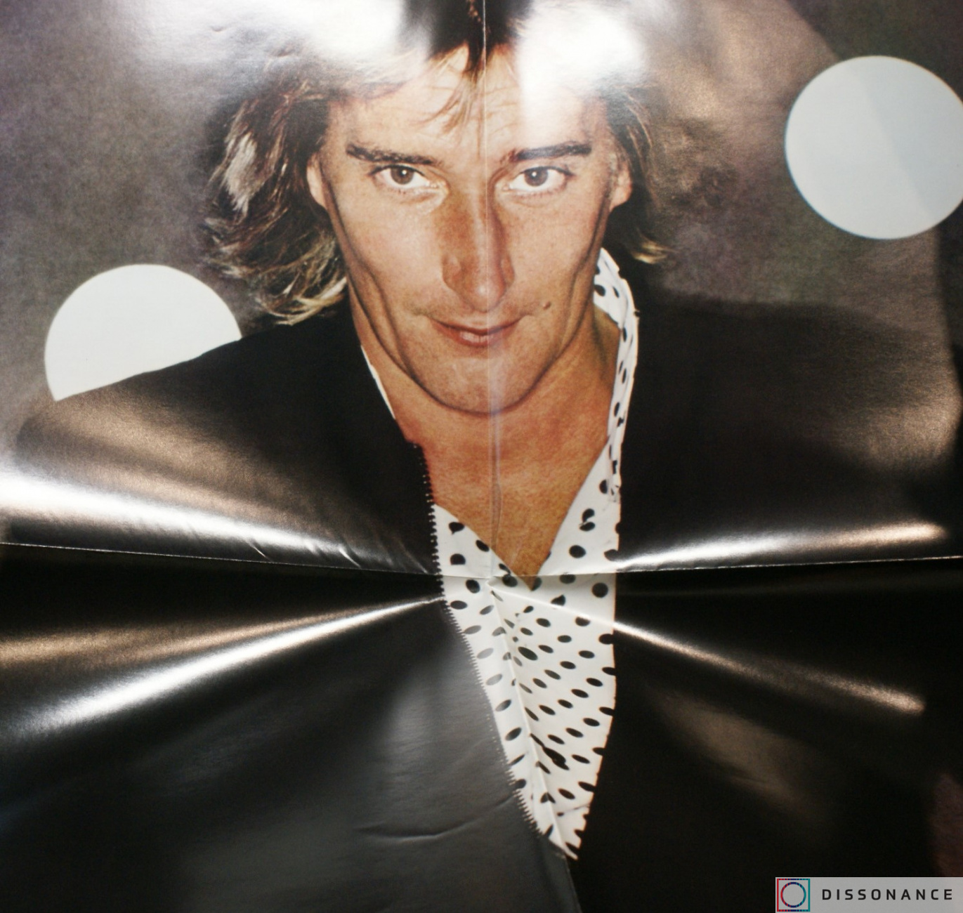 Виниловая пластинка Rod Stewart - Foolish Behaviour (1980) - фото 3