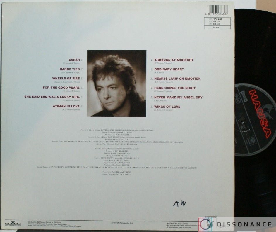 Виниловая пластинка Chris Norman - Different Shades (1987) - фото 1