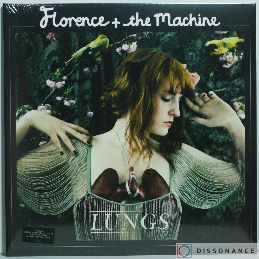 Виниловая пластинка Florence And The Machine - Lungs (2009) - фото обложки