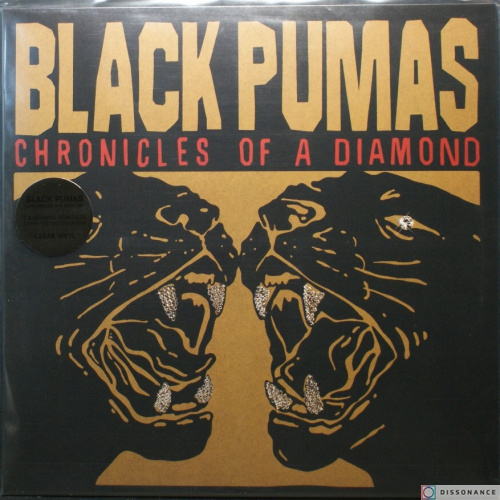 Виниловая пластинка Black Pumas - Chronicles Of A Diamond (2023)