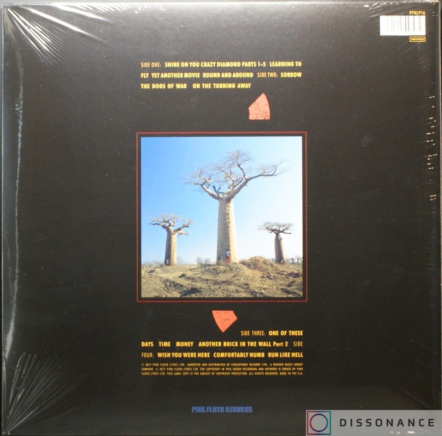 Виниловая пластинка Pink Floyd - Delicate Sound Of Thunder (1988) - фото 1