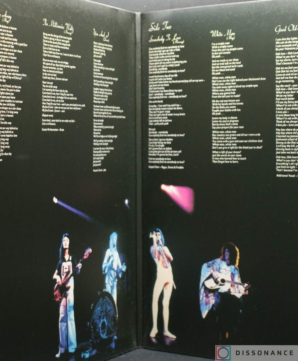 Виниловая пластинка Queen - A Day At The Races (1976) - фото 1