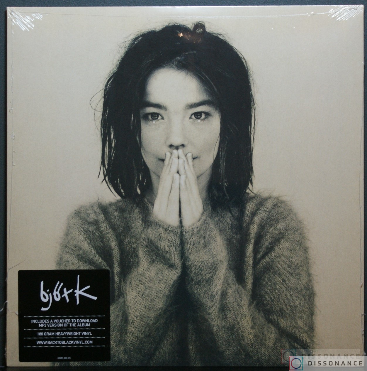 Виниловая пластинка Bjork - Debut (1993) - фото обложки