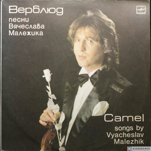 Виниловая пластинка Вячеслав Малежик - Верблюд (1988)
