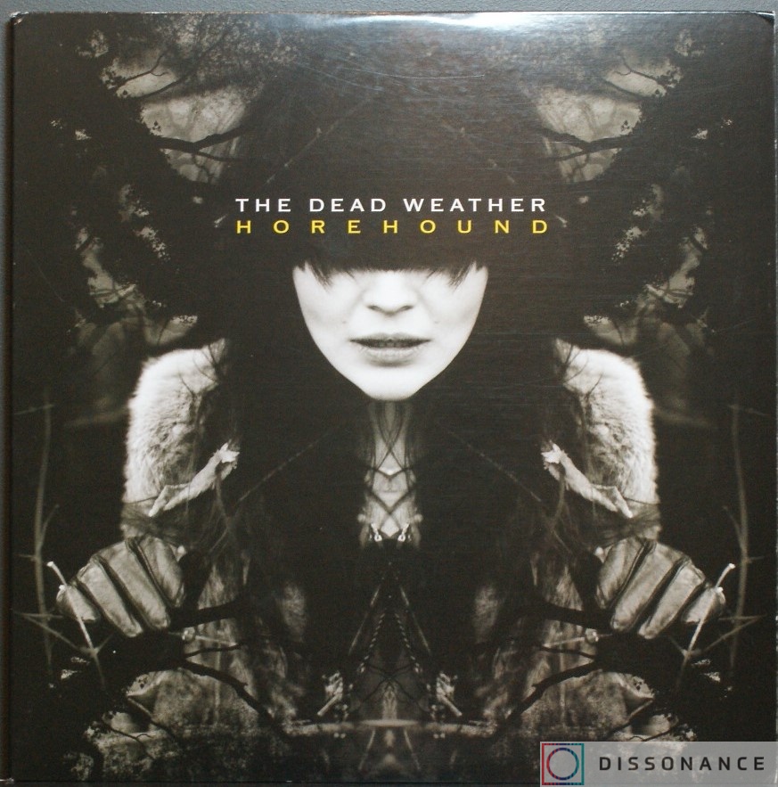 Виниловая пластинка Dead Weather - Horehound (2009) - фото обложки
