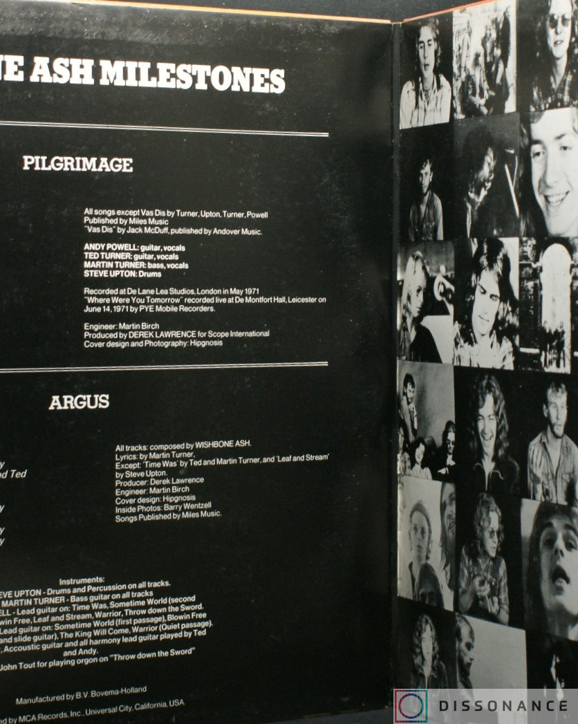 Виниловая пластинка Wishbone Ash - Pilgrimage And Argus (1977) - фото 1