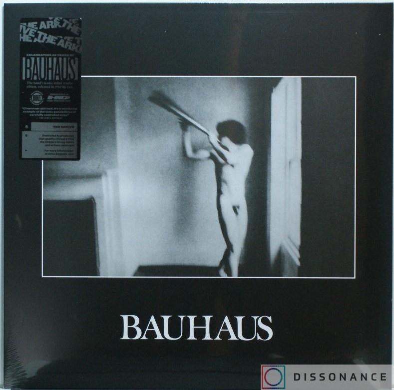 Виниловая пластинка Bauhaus - In The Flat Field (1980) - фото обложки