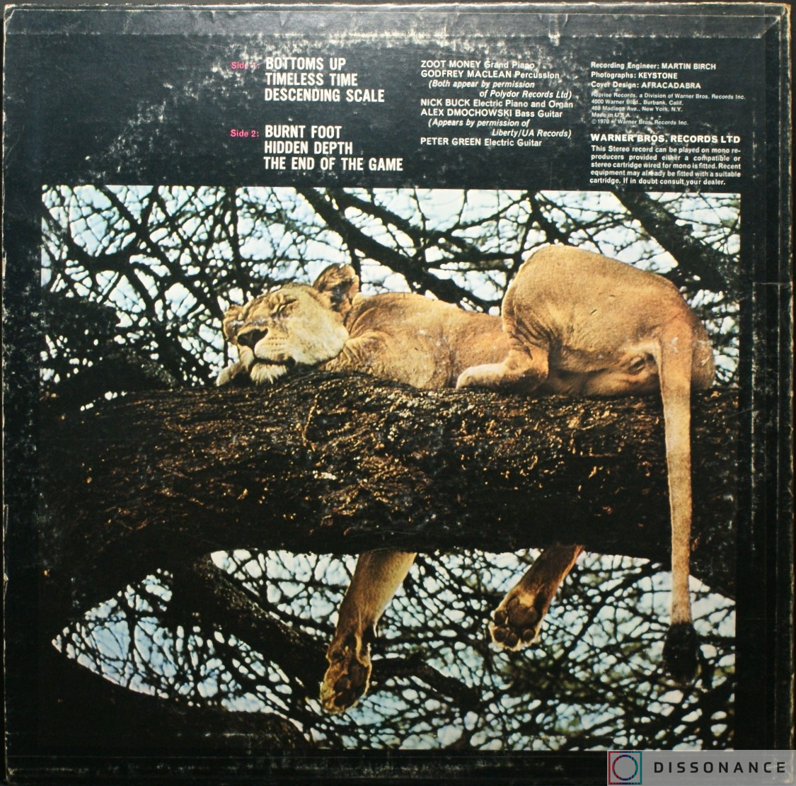 Виниловая пластинка Peter Green - End Of The Game (1970) - фото 1