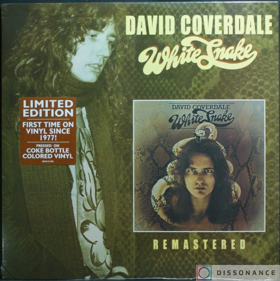 Виниловая пластинка David Coverdale - Whitesnake (1977) - фото обложки
