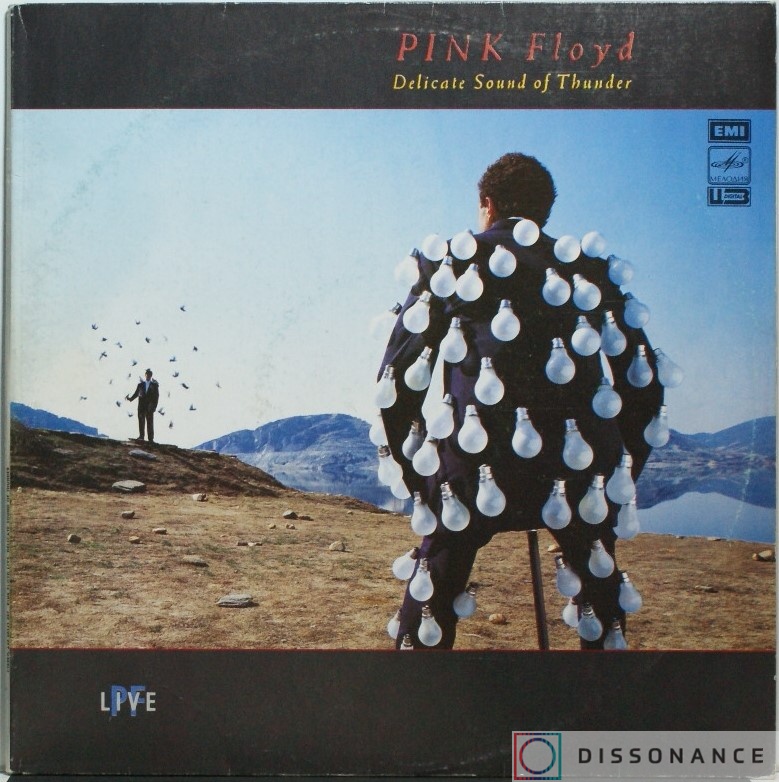 Виниловая пластинка Pink Floyd - Delicate Sound Of Thunder (1988) - фото обложки