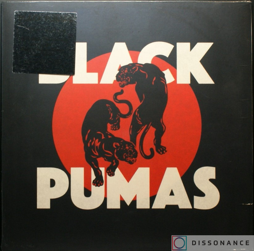 Виниловая пластинка Black Pumas - Black Pumas (2019) - фото обложки