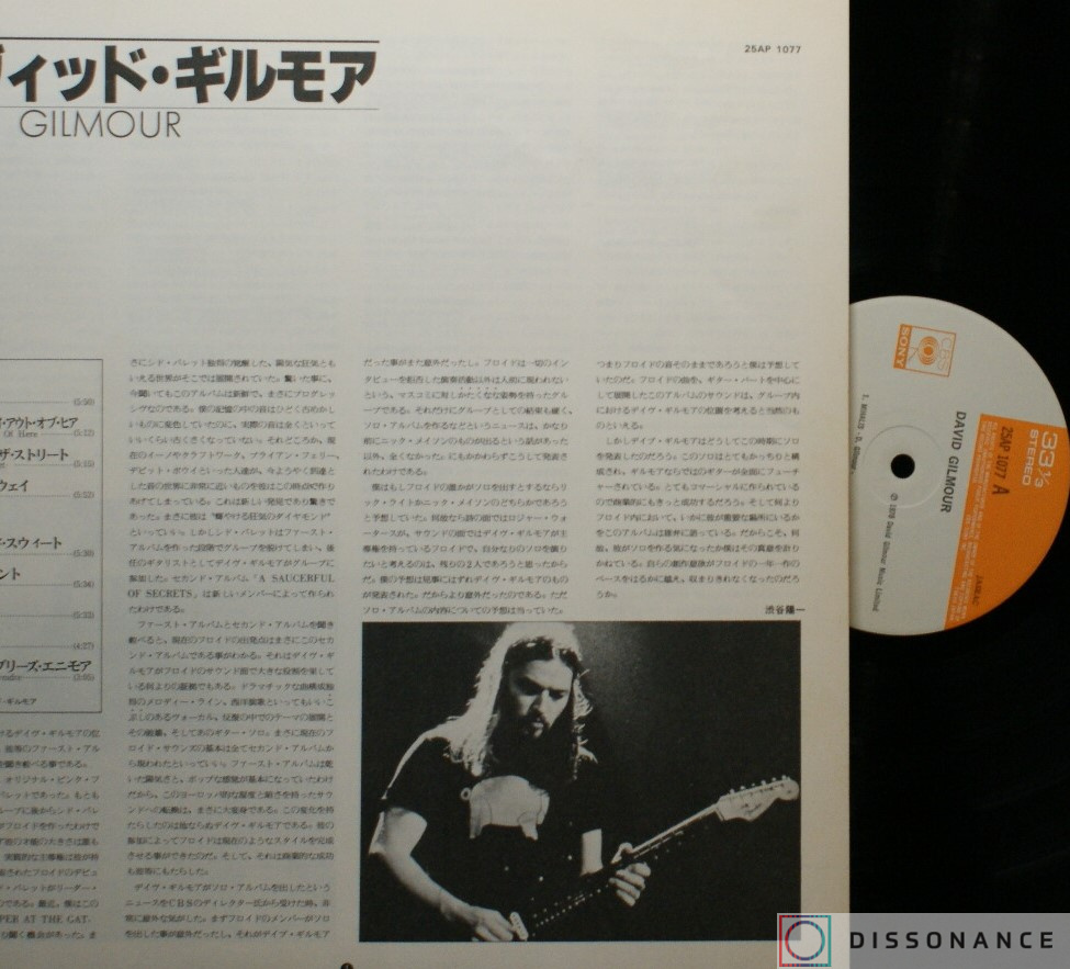 Виниловая пластинка David Gilmour - David Gilmour (1978) - фото 3
