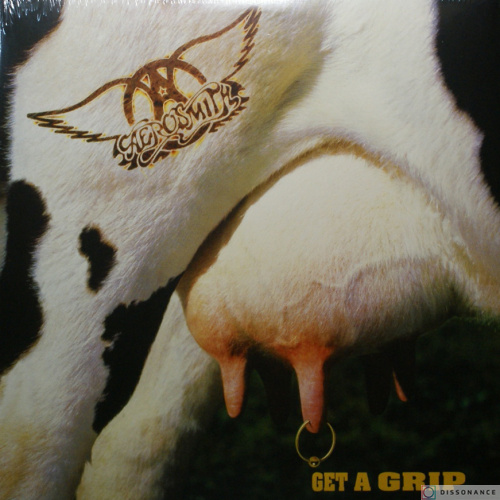 Виниловая пластинка Aerosmith - Get A Grip (1993)