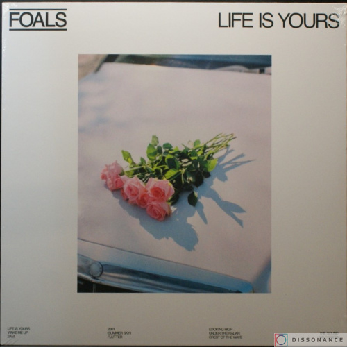 Foals Still sealed