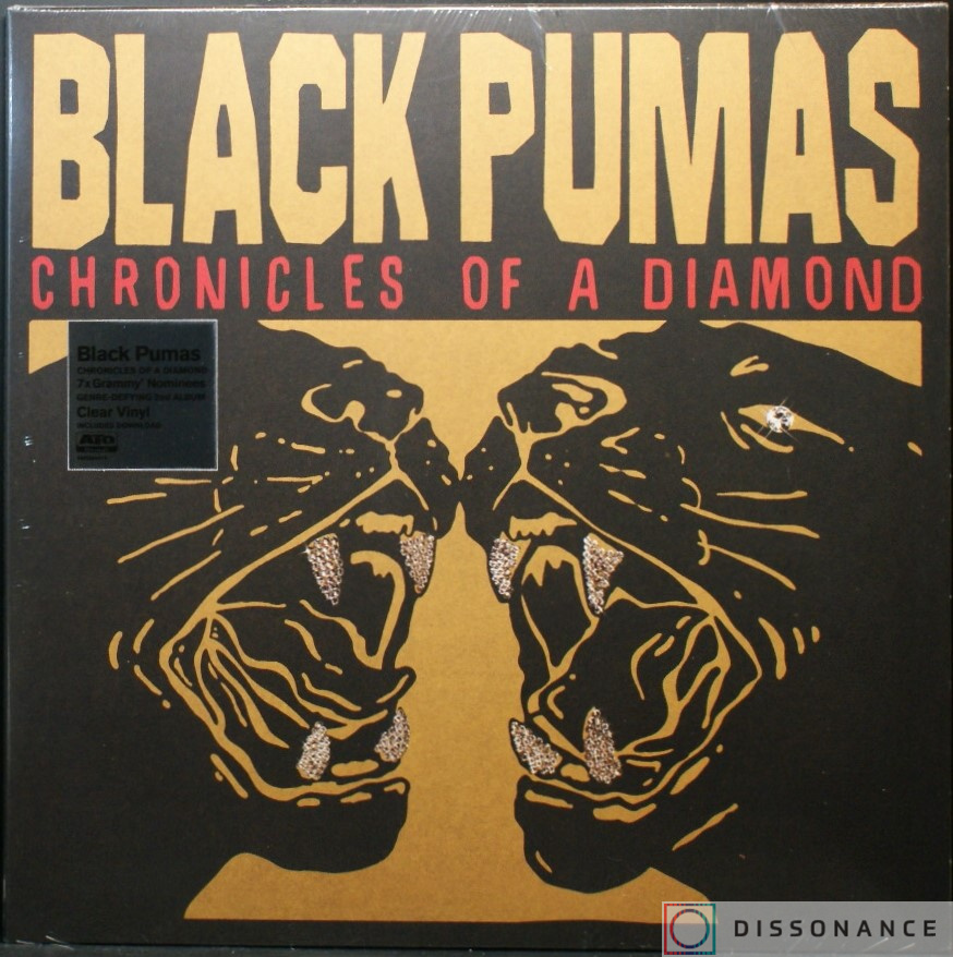 Виниловая пластинка Black Pumas - Chronicles Of A Diamond (2023) - фото обложки