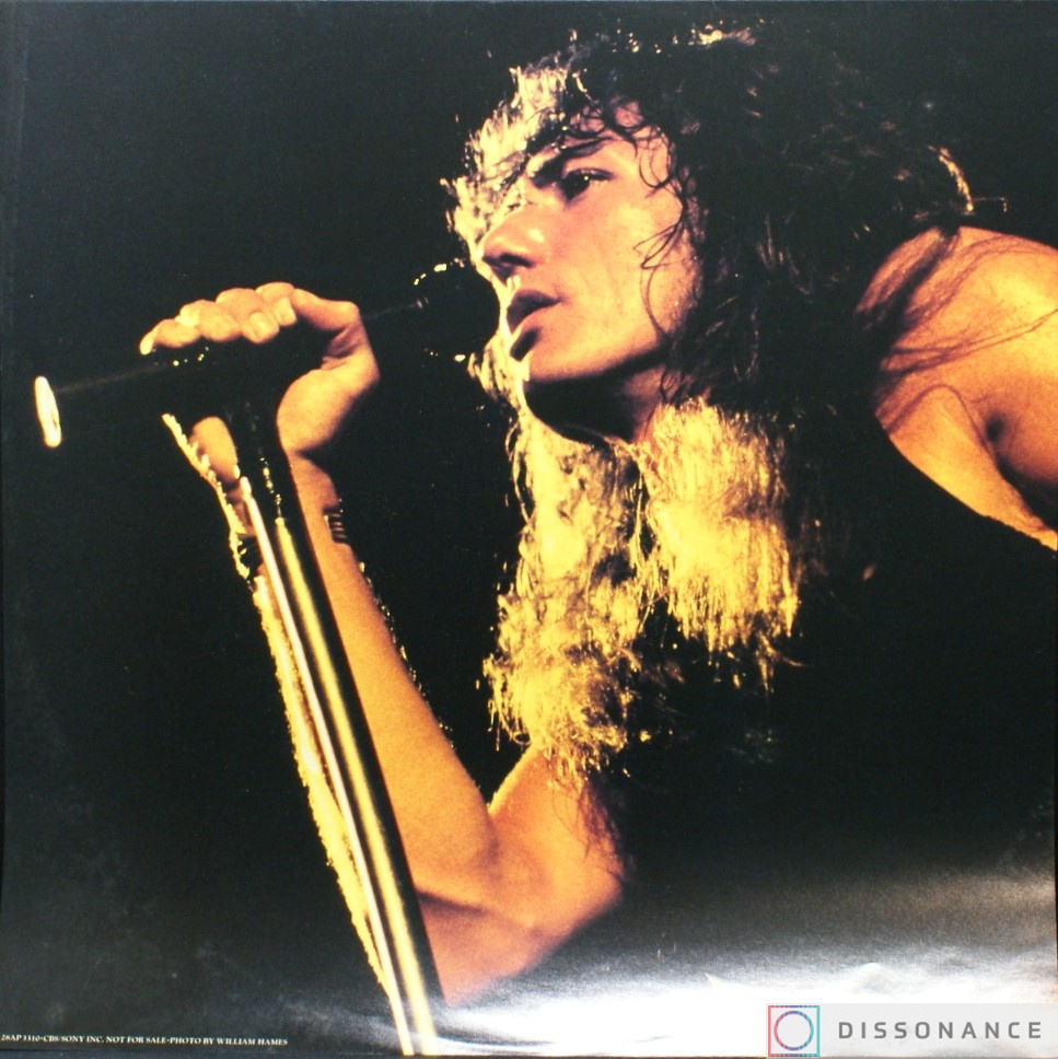 Виниловая пластинка Whitesnake - 1987 (1987) - фото 4