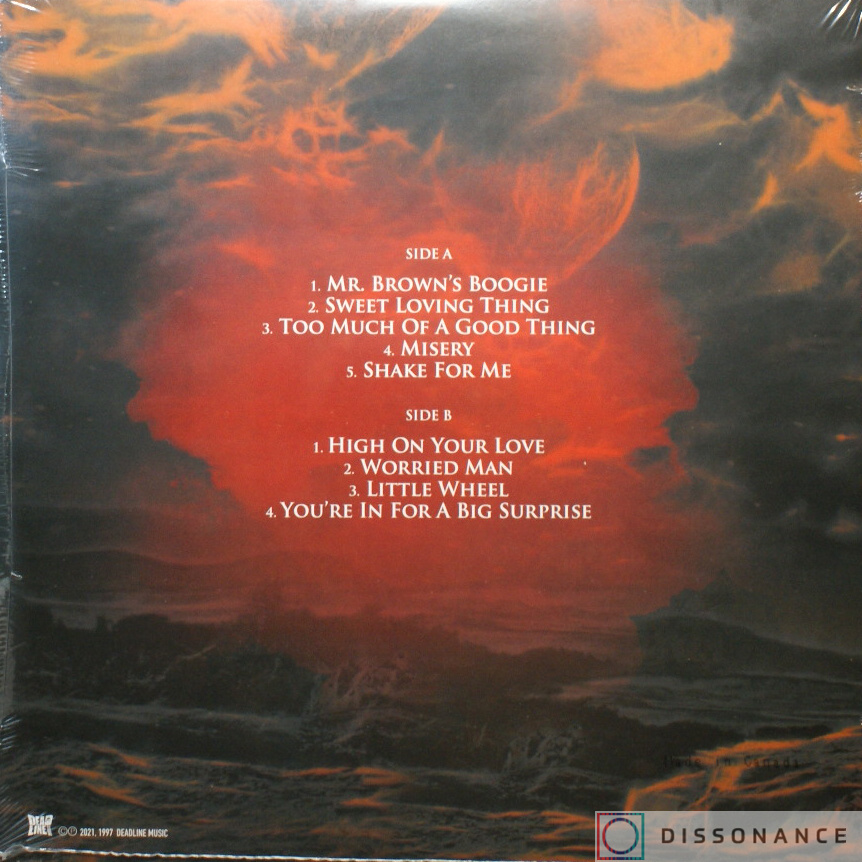 Виниловая пластинка Savoy Brown - Bring It On Home (1994) - фото 1