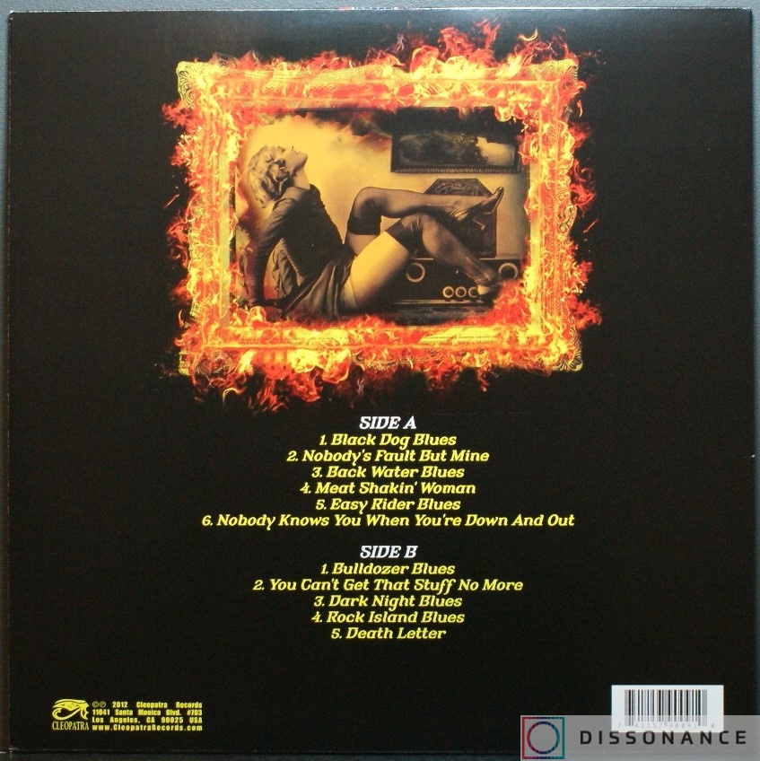 Виниловая пластинка Pat Travers - Blues On Fire (2012) - фото 1