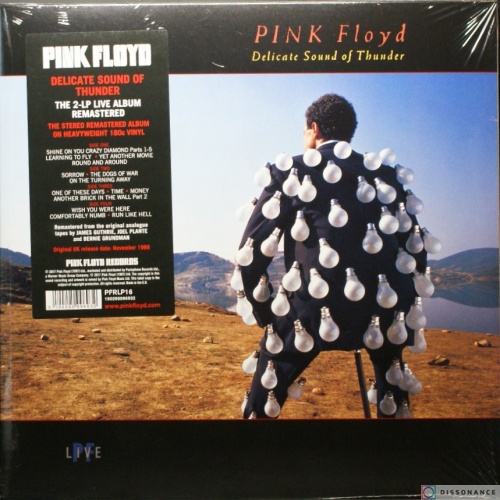 Виниловая пластинка Pink Floyd - Delicate Sound Of Thunder (1988)