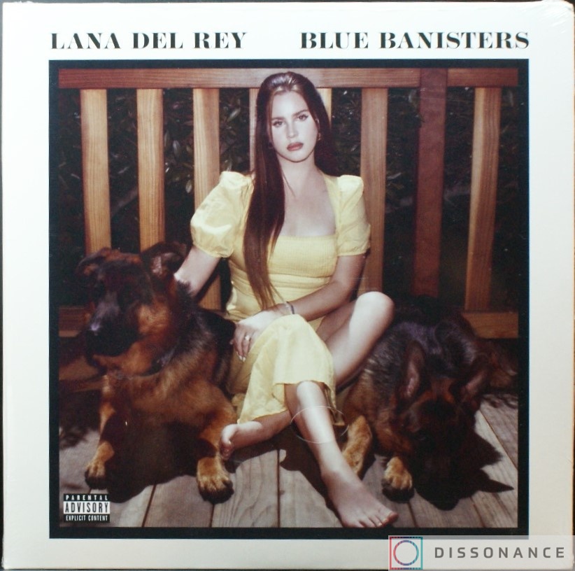 Виниловая пластинка Lana Del Rey - Blue Banisters (2021) - фото обложки