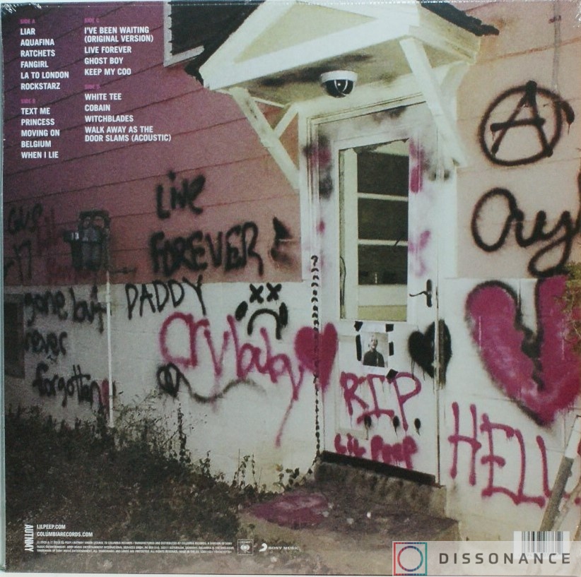 Виниловая пластинка Lil Peep - Everybodys Everything (2019) - фото 1