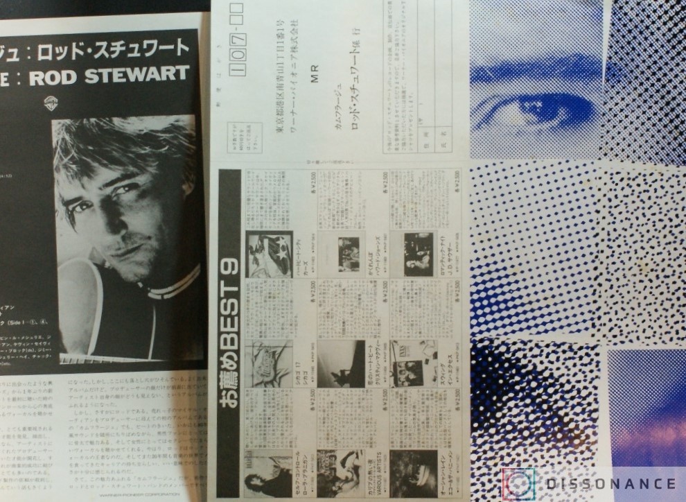 Виниловая пластинка Rod Stewart - Camouflage (1984) - фото 2