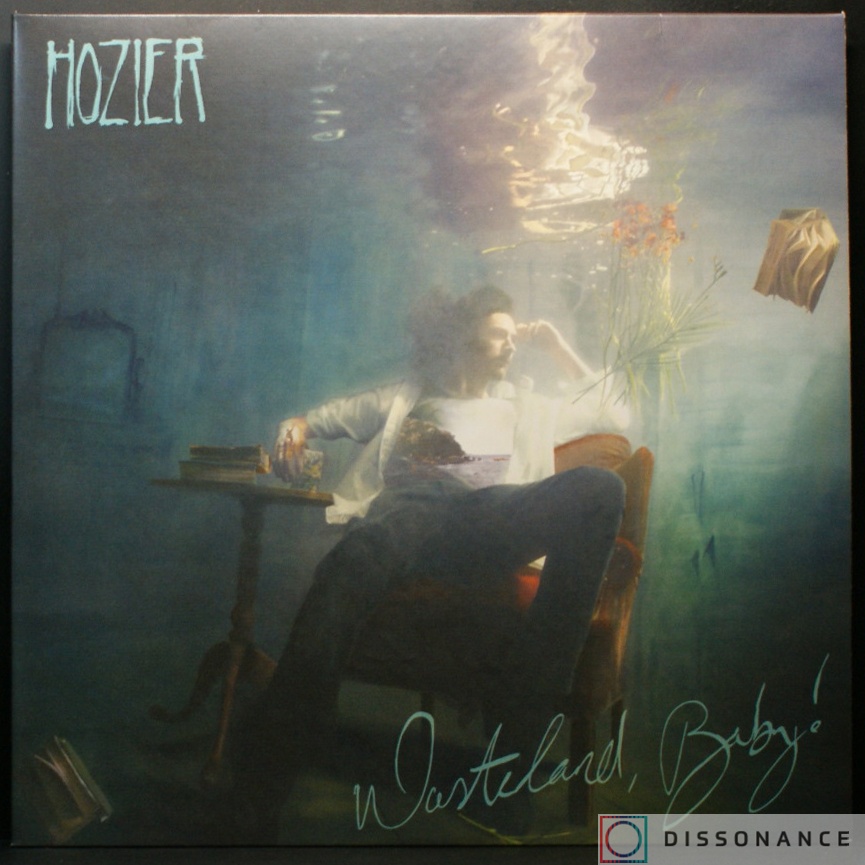 Виниловая пластинка Hozier - Wasteland, Baby! (2019) - фото обложки