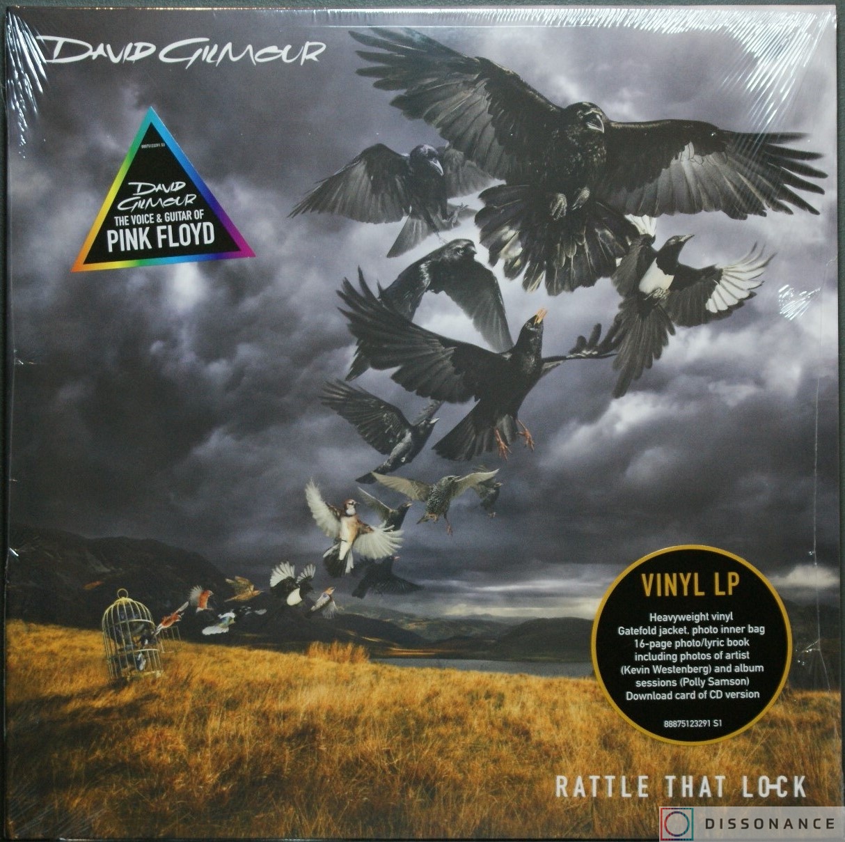 Виниловая пластинка David Gilmour - Rattle That Lock (2015) - фото обложки