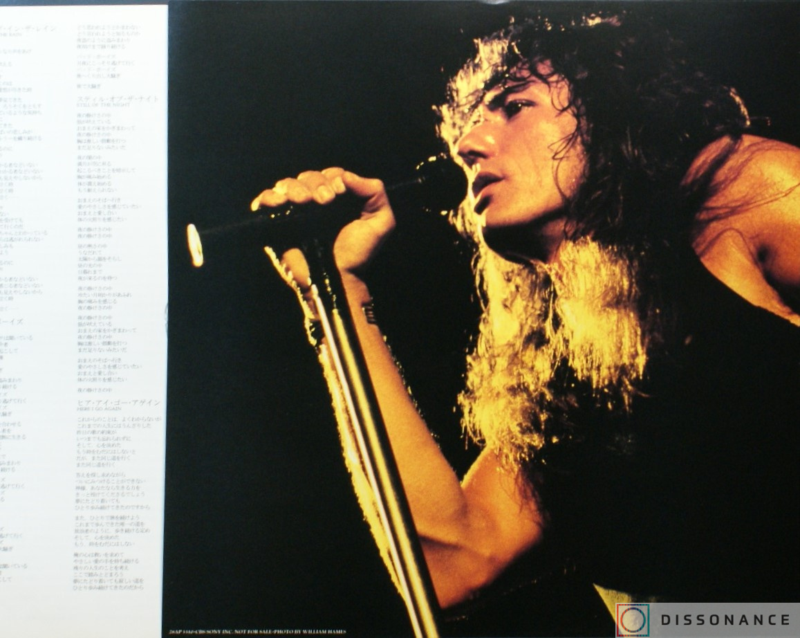 Виниловая пластинка Whitesnake - 1987 (1987) - фото 2
