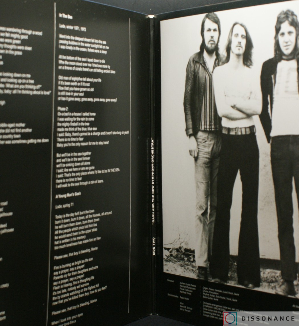 Виниловая пластинка Gash - Young Man Gash (1972) - фото 1