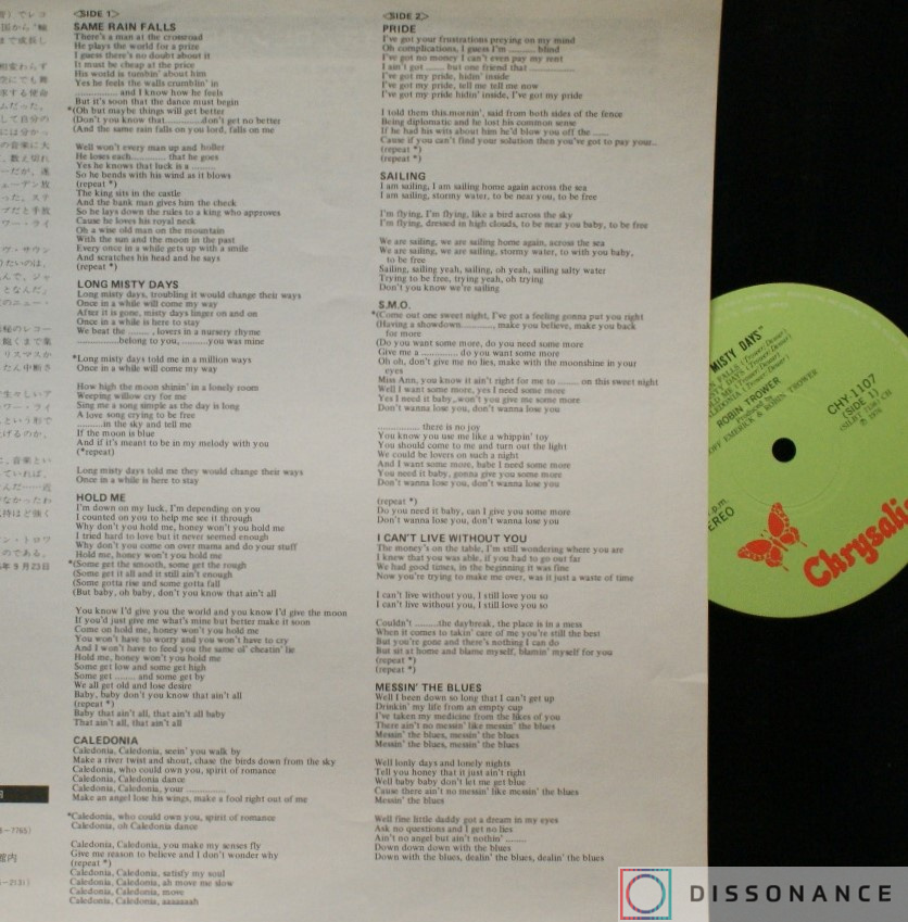 Виниловая пластинка Robin Trower - Long Misty Days (1976) - фото 2