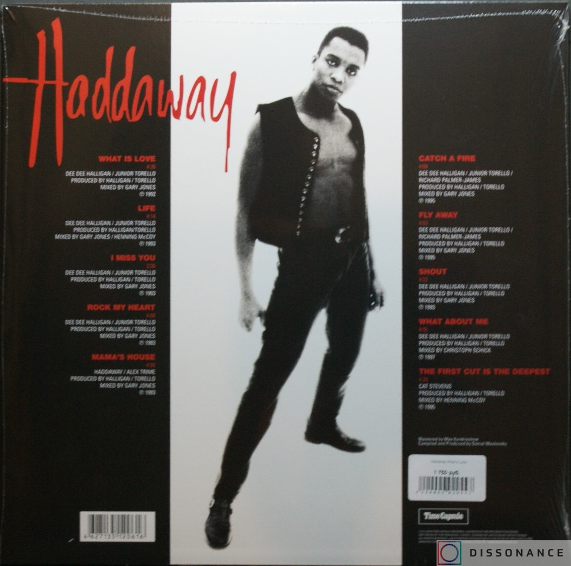 Виниловая пластинка Haddaway - What Is Love (1993) - фото 1