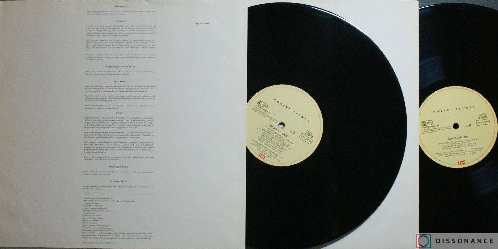 Виниловая пластинка Robert Palmer - Dont Explain (1990) - фото 2