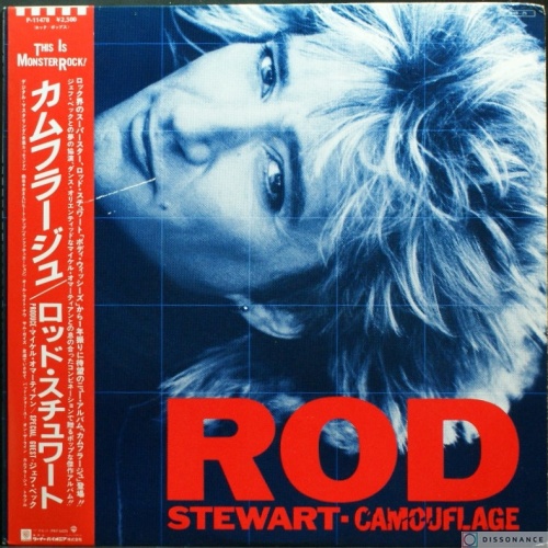 Виниловая пластинка Rod Stewart - Camouflage (1984)