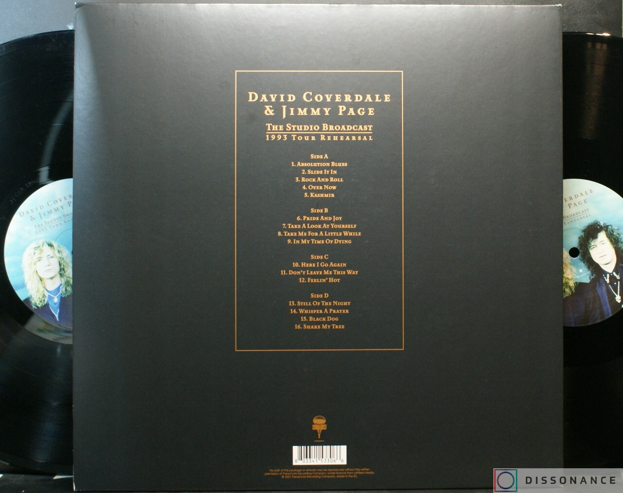 Виниловая пластинка David Coverdale And Jimmy Page - 1993 Tour Rehearsal (1993) - фото 2