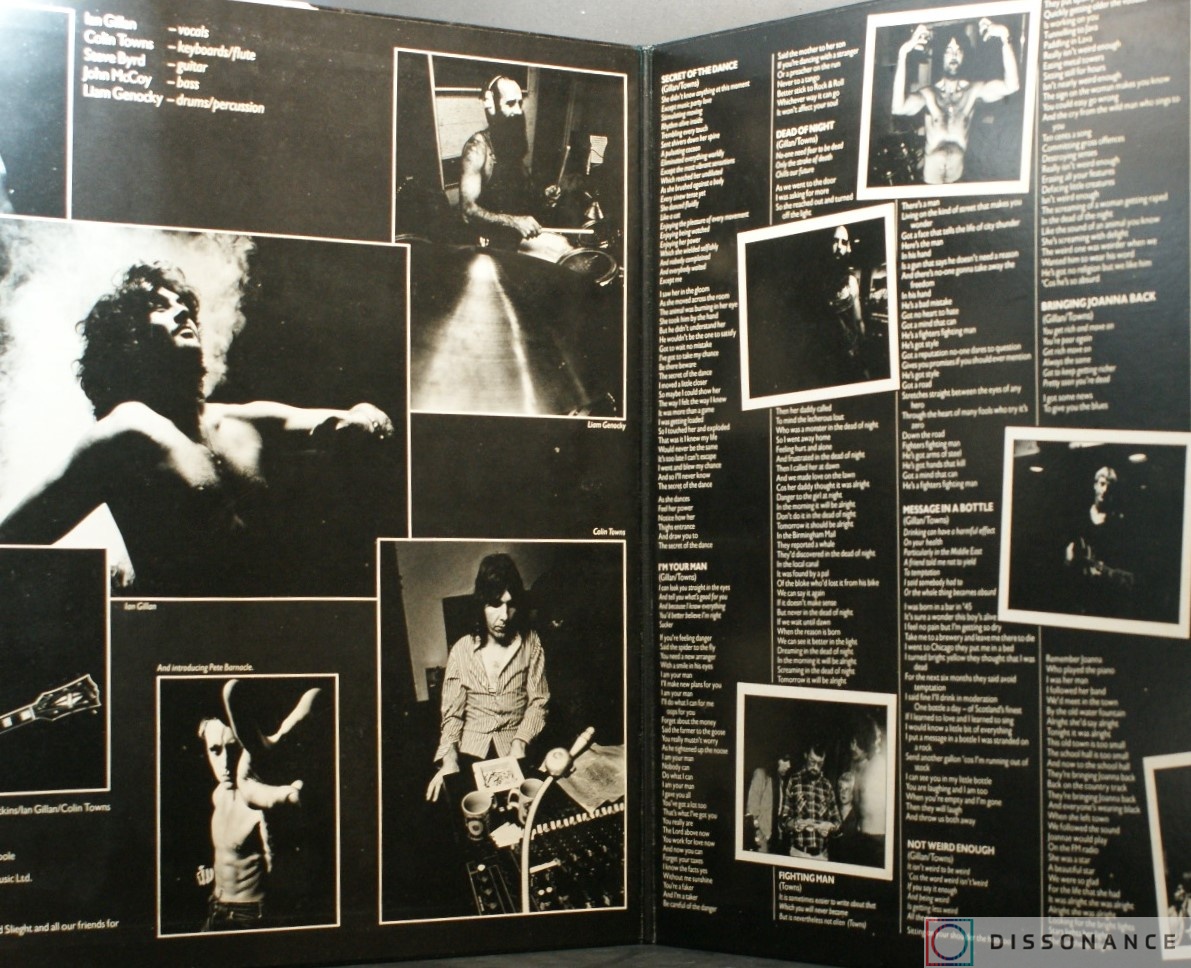 Виниловая пластинка Ian Gillan - Gillan (1978) - фото 1
