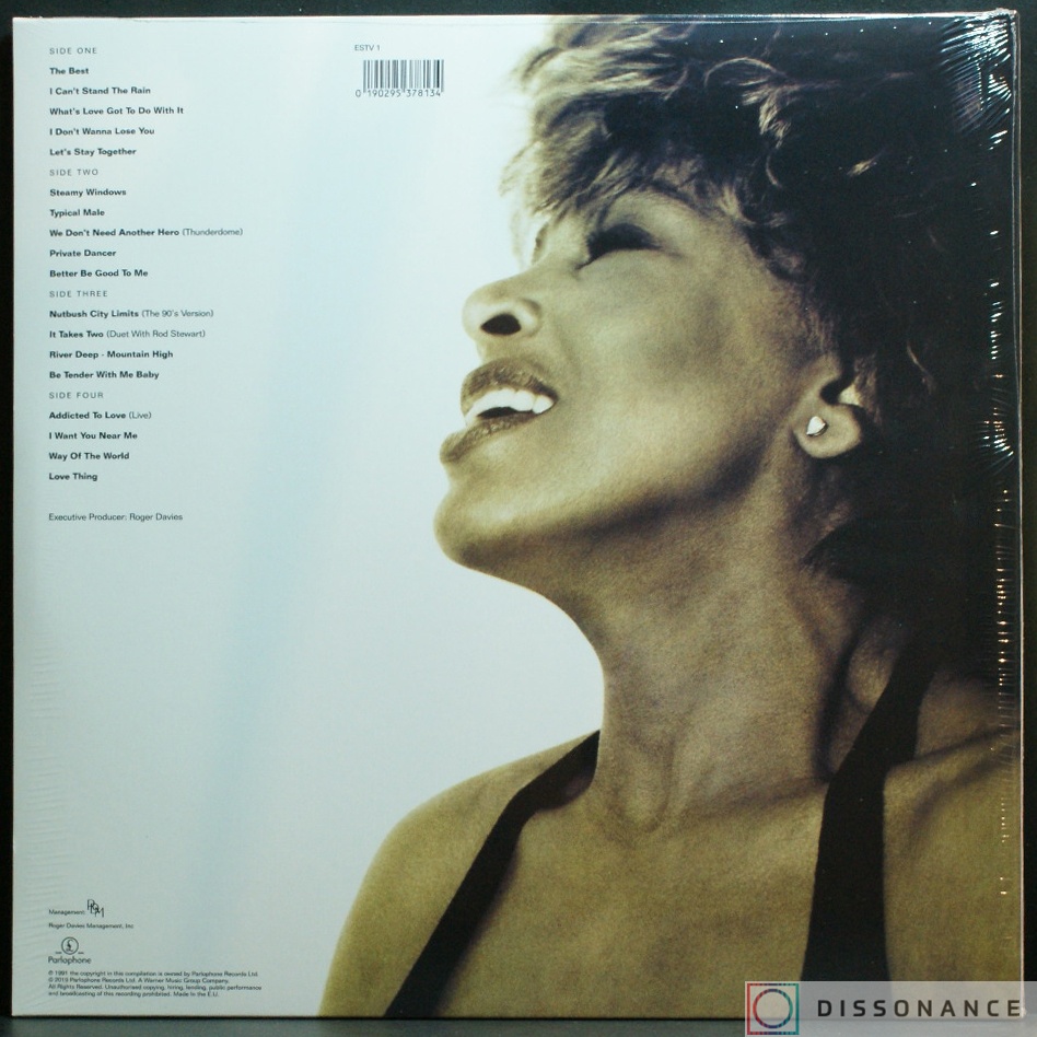 Виниловая пластинка Tina Turner - Simply The Best (1991) - фото 1