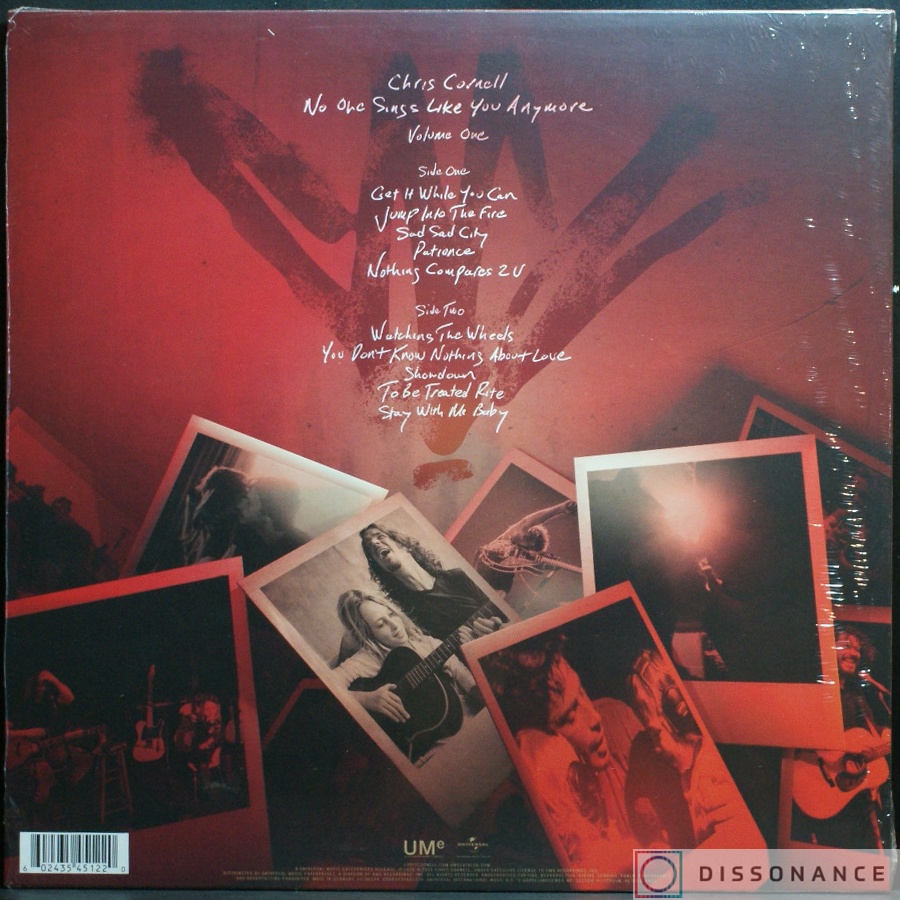 Виниловая пластинка Chris Cornell - No One Sings Like You Anymore (2020) - фото 1