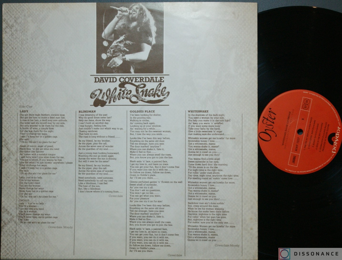 Виниловая пластинка David Coverdale - Whitesnake (1976) - фото 2